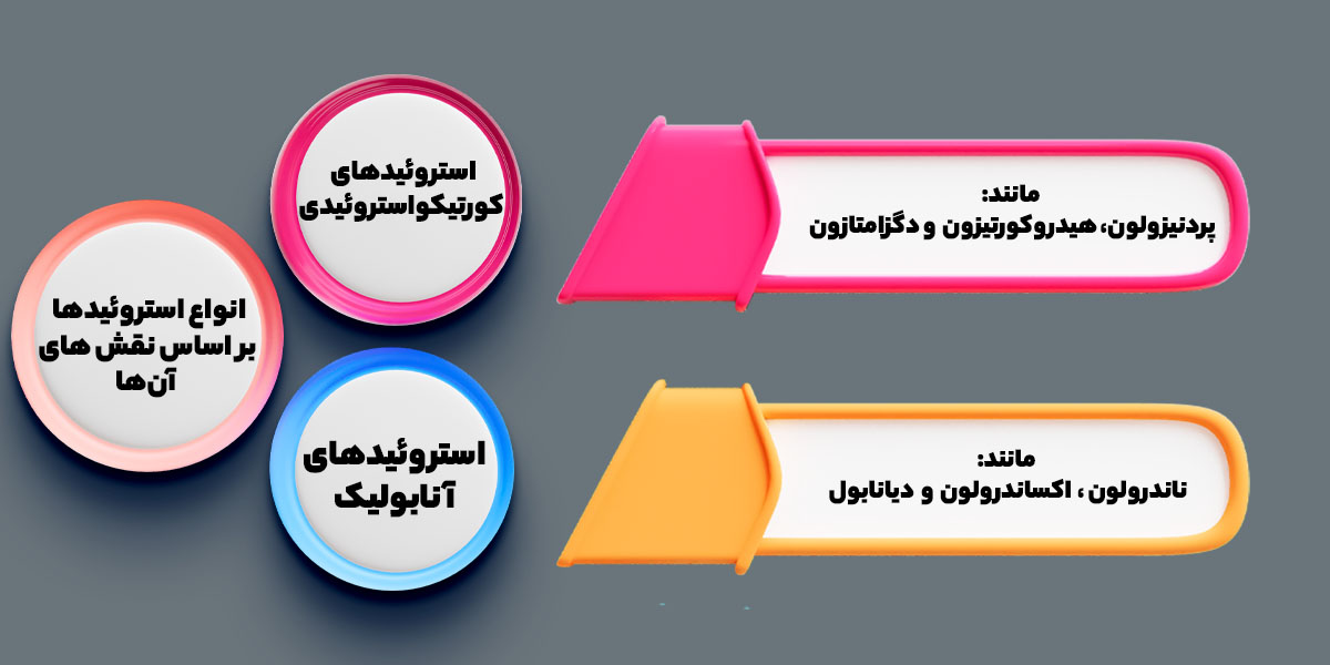 انواع استروئیدها بر اساس نقش های آن‌ها